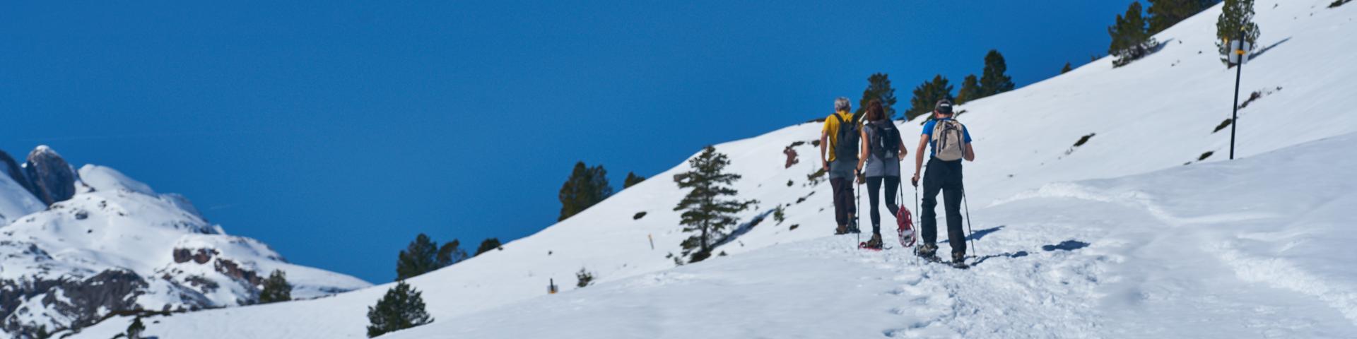 Raquettes à neige en Pyrénées béarnaises, vallée d'Aspe, espace nordique du Somport