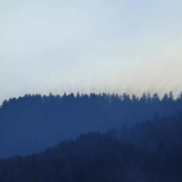 18216570634116820.jpg