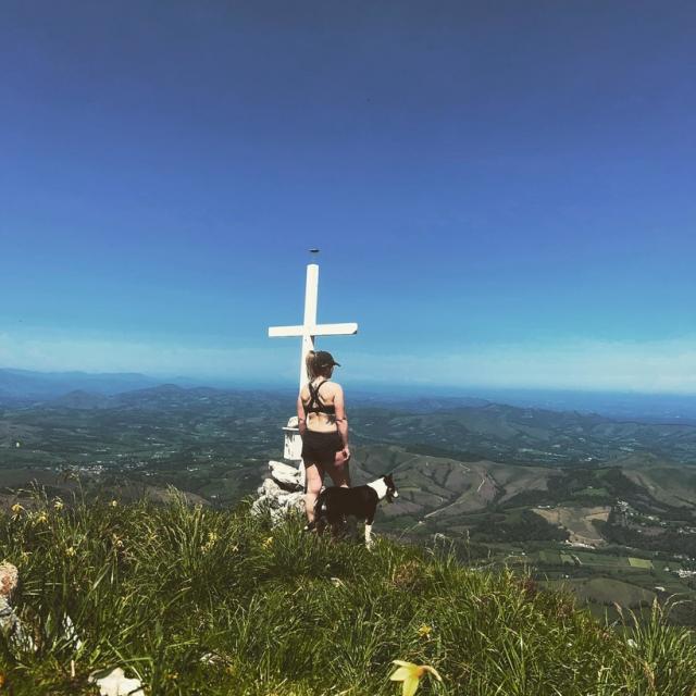 Instagram #pyreneesbearnaises