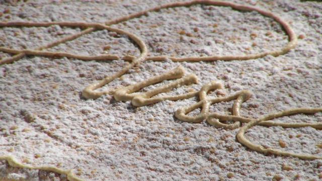 Spécialité des Pyrénées béarnaises : le Russe de chez Artigarrède est un gâteau qui a dépassé les frontières d'Oloron Sainte-Marie