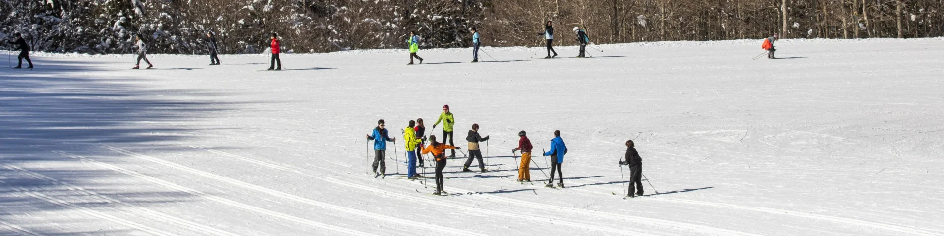 L'espace Somport est un lieu apprécié pour le ski de fond, débutant ou confirmé vous cheminez entre clairières et bosquets au pied des sommets enneigés.
