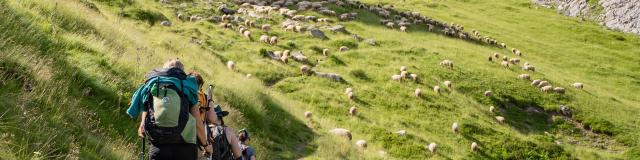 Randonnée en Pyrénées béarnaises 1 choix considérable de sentiers de tous niveaux