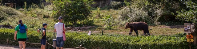 Les visiteurs du Parc'Ours peuvent voir de près les ours brun à Borce, Vallée d'Aspe, Pyrénées béarnaises