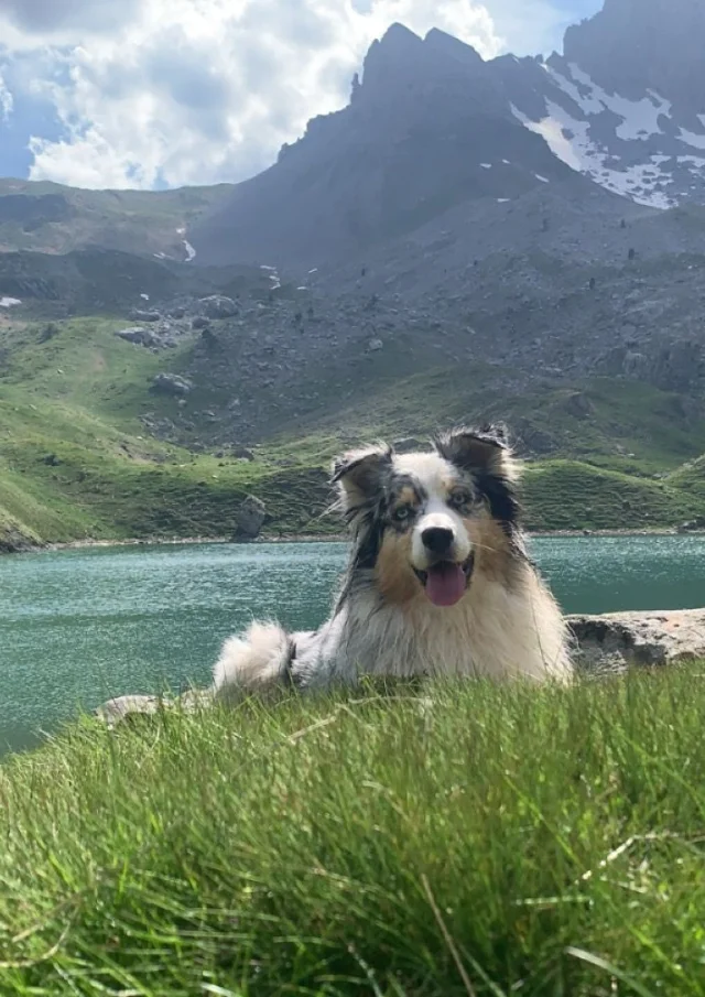 Saika Lac De Lhurs