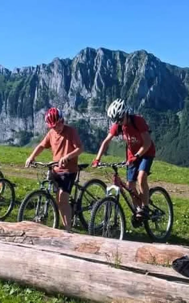 VTT Rando Bike