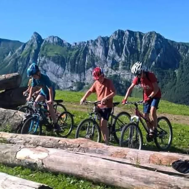 VTT Rando Bike