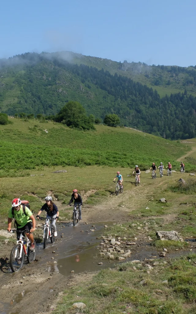 Vtt Compagnie Daspe