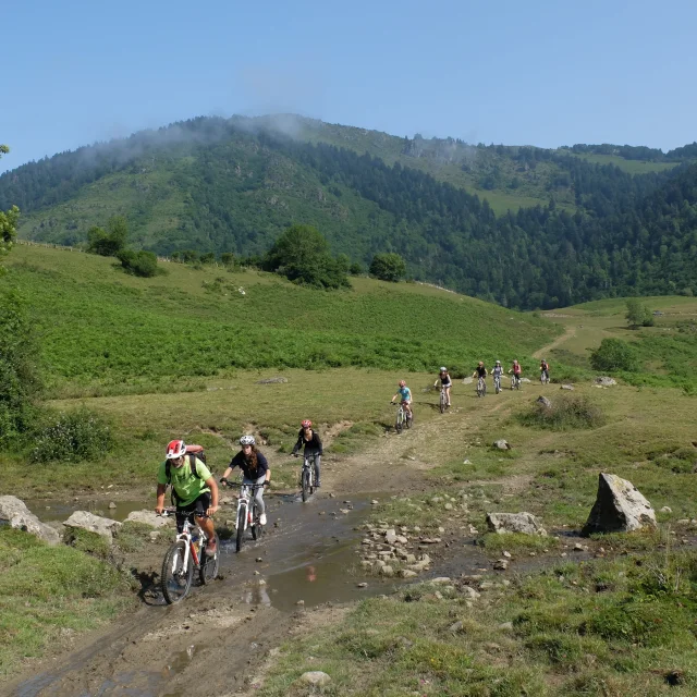 Vtt Compagnie Daspe