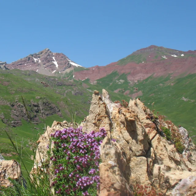 Sortie Geolval Rio Aragon