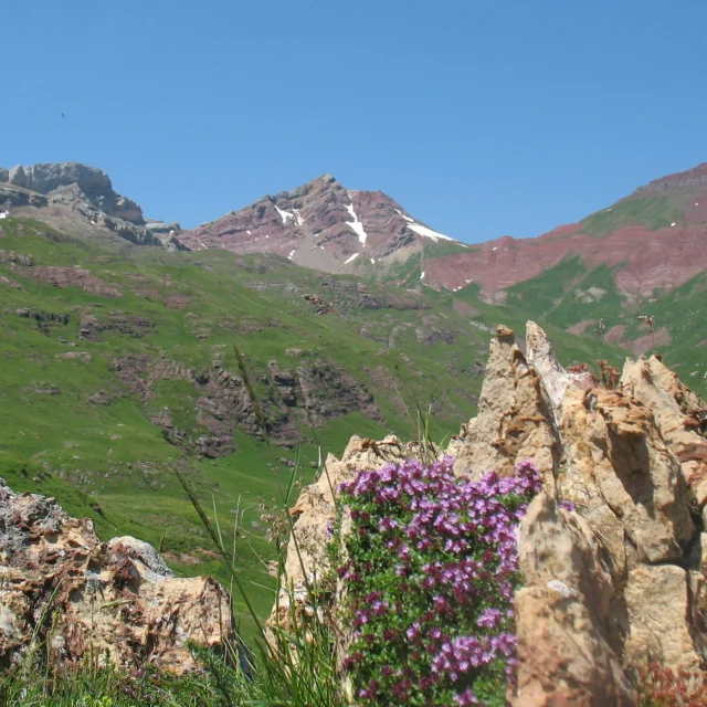 Sortie Geolval Rio Aragon Subordan Iigeolval Di