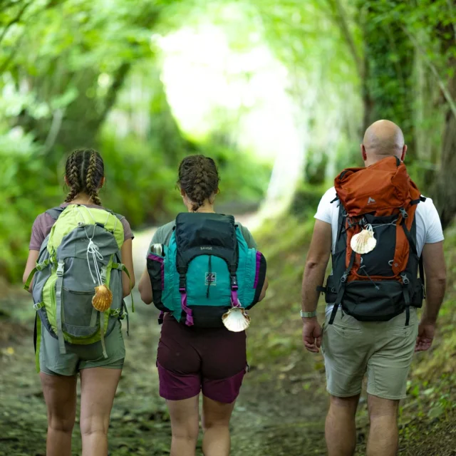 Pelerins Sur Le Chemin De Compostelle