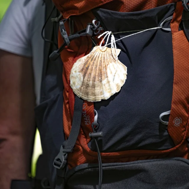Sac A Dos Coquille Du Pelerin