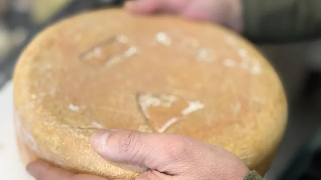Tomme De Fromage