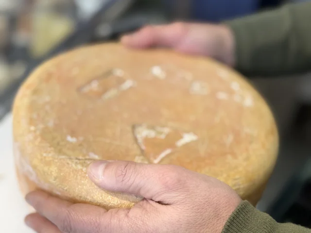 Tomme De Fromage