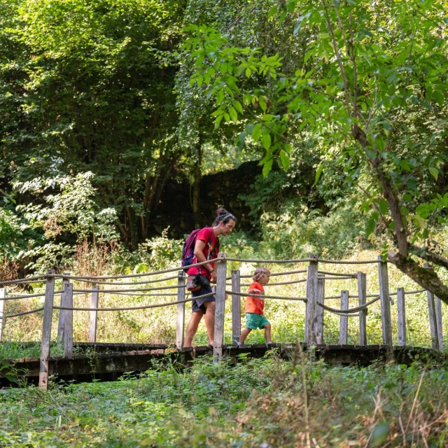 Visite Du Parc Ours En Famille