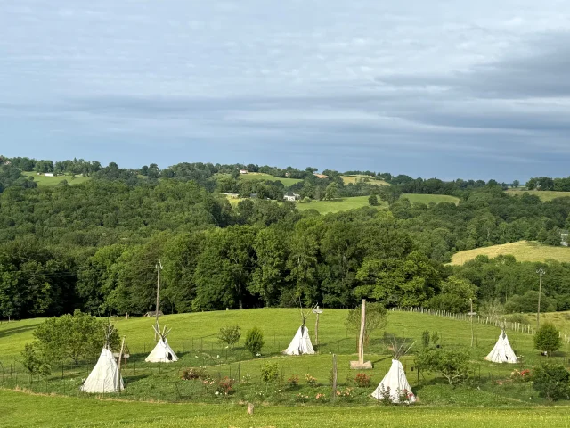Plumes Et Pattes Tipi