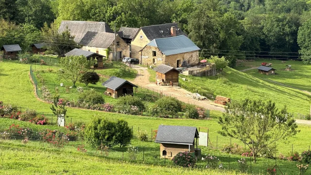 Des Plumes Et Des Pattes Ferme