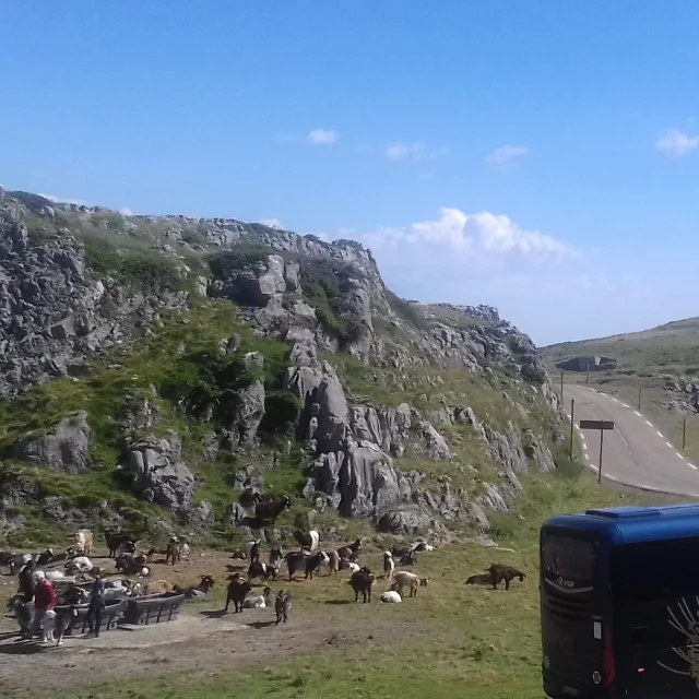 Visite de groupe organisée par l'Office de Tourisme des Pyrénées béarnaises à la ferme Recibire à La Pierre Saint-Martin