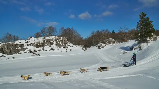 Large choix de bons cadeau dans la billetterie en ligne de l'Office de Tourisme des Pyrénées béarnaises