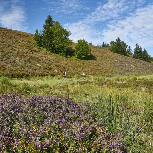 Valle de Aspe - Issarbe y La Pierre
