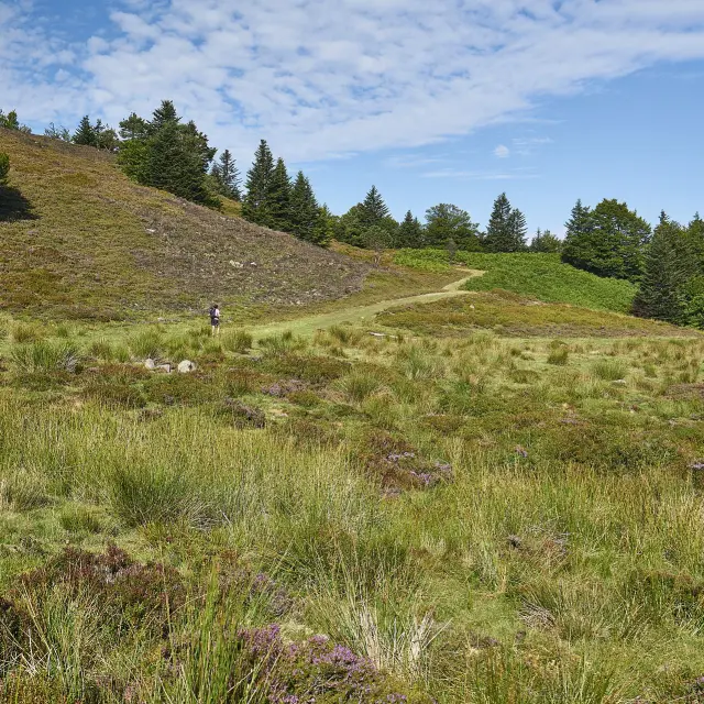 Valle de Aspe - Issarbe y La Pierre