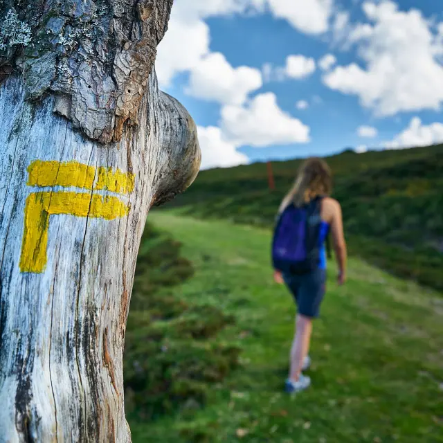 Randonneuse Ii Issarbe Abaco Digital Di