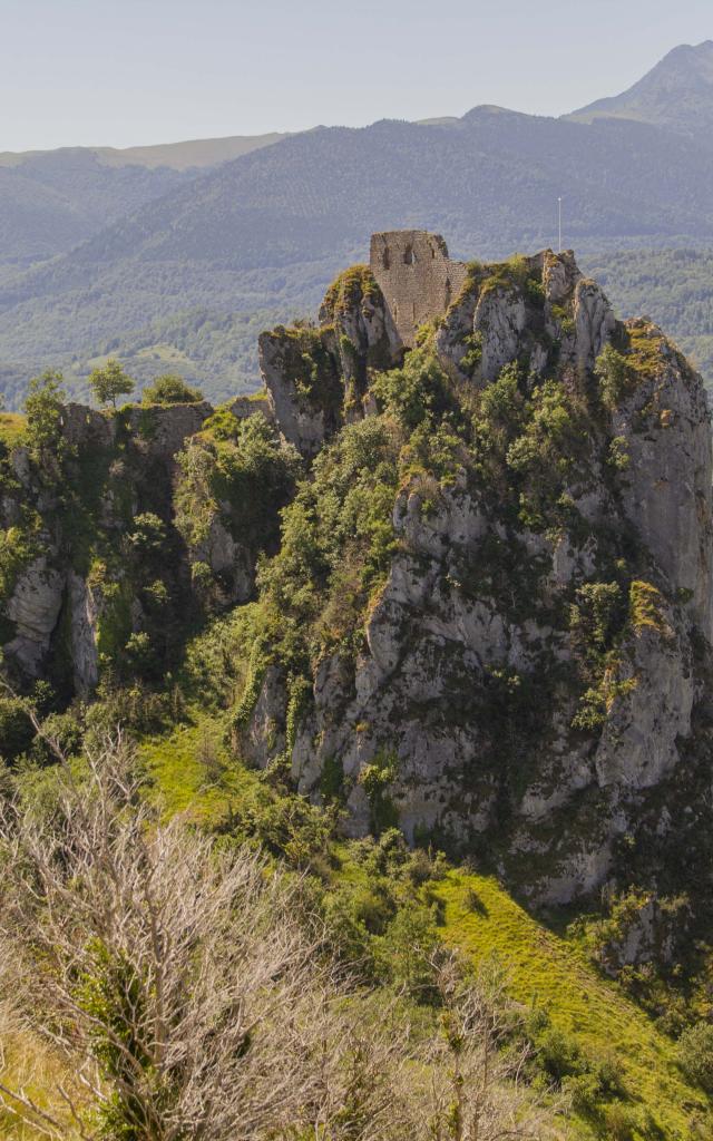 Le château de Roquefixade