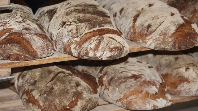bread-388647_1280