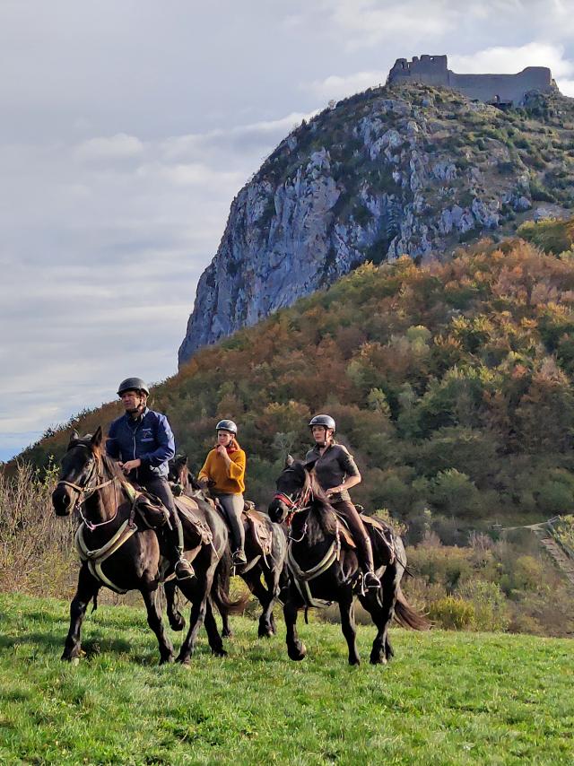 Chevaux au pied du château de Montségur
