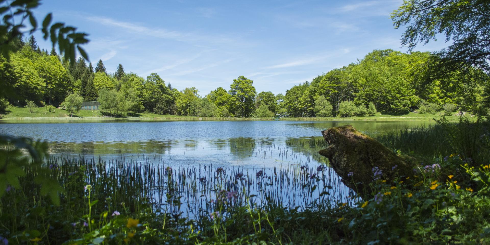 Grande pierre à eau naturelle des Pyrénées, l'Idéale