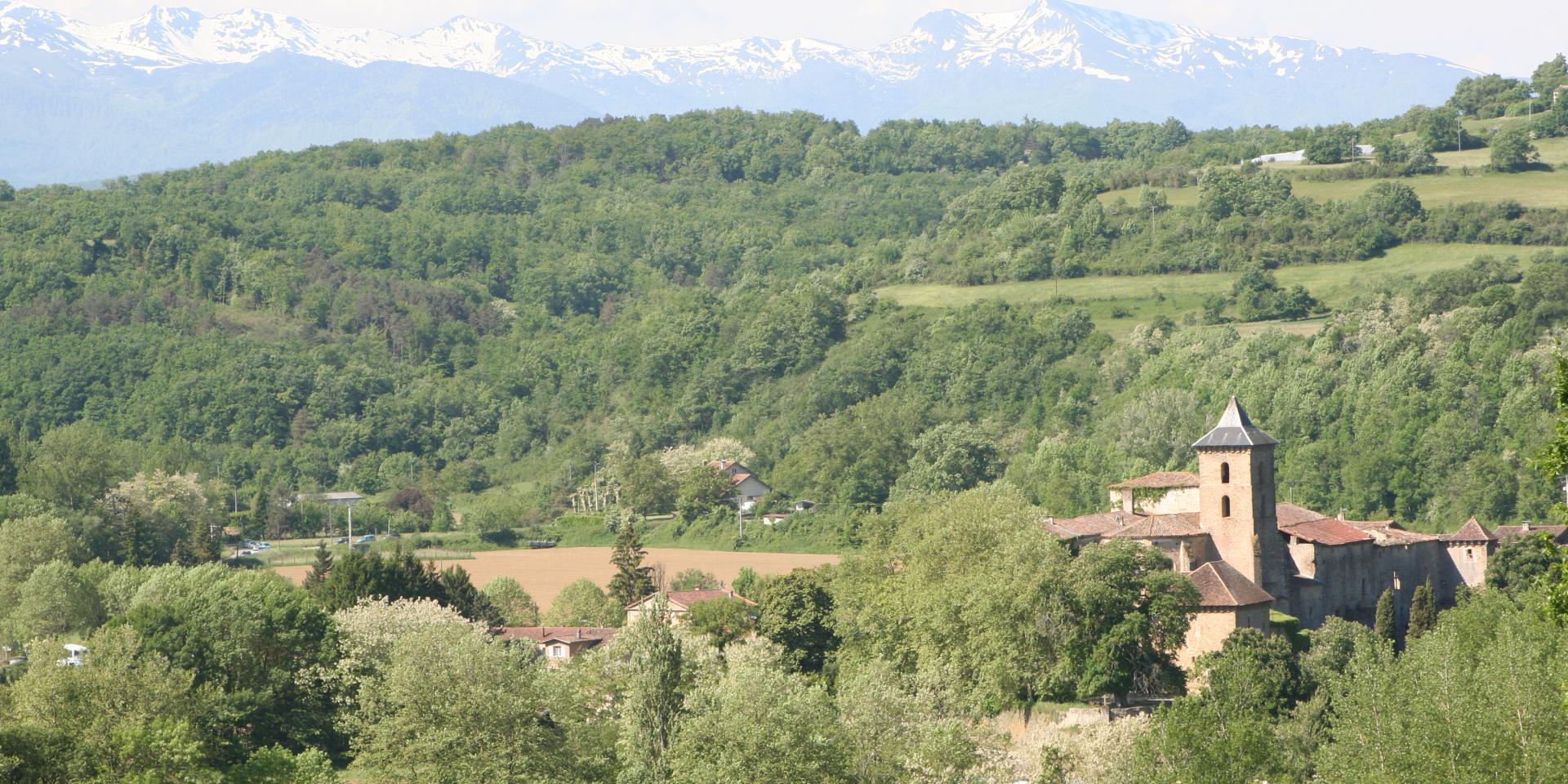 view on Camon