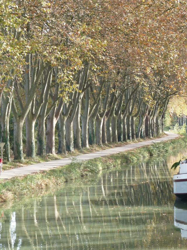 canal-du-midi-962338