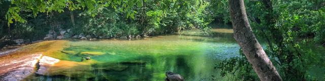 image00006 (1)
