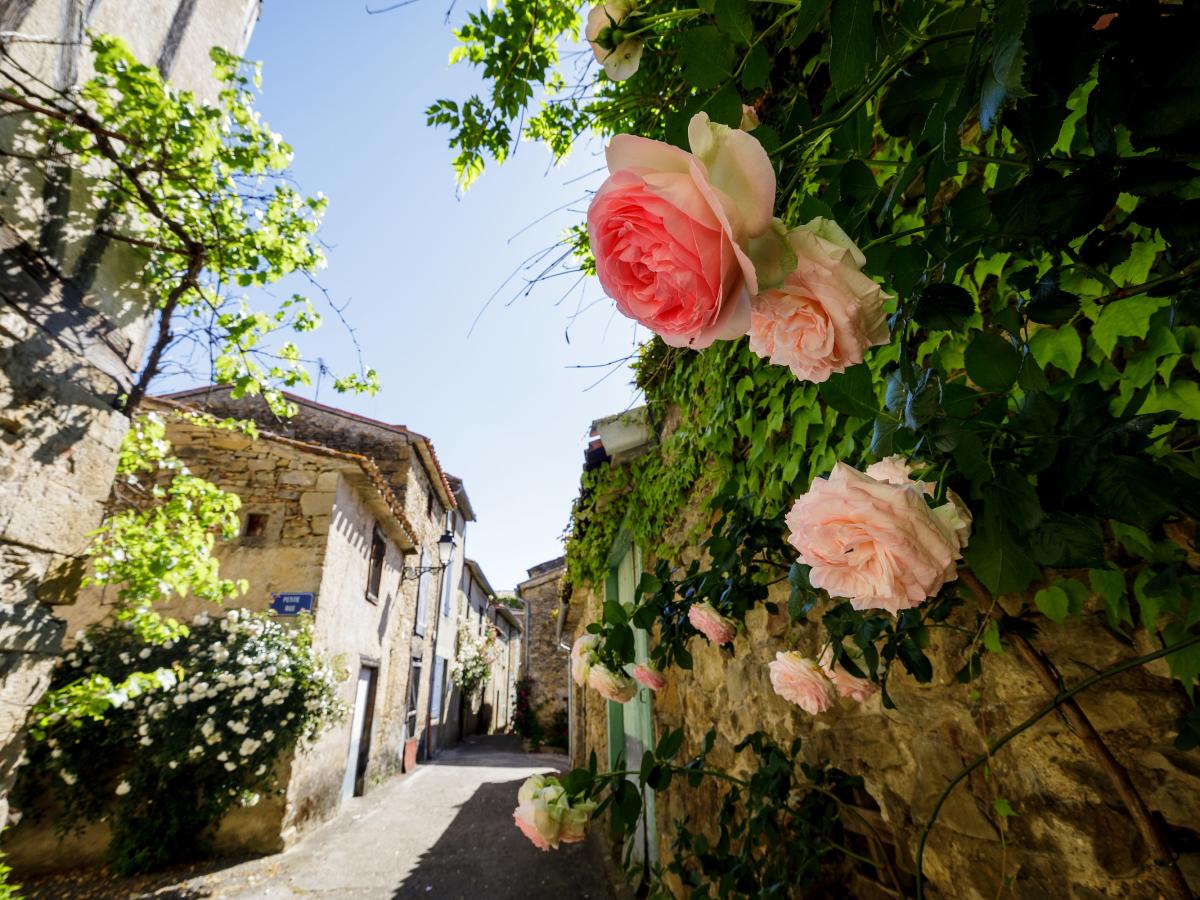 The Greenway | Official website of the Office de Tourisme des Pyrénées ...