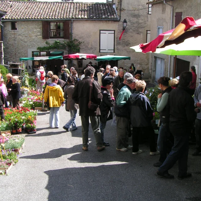 Fête des roses