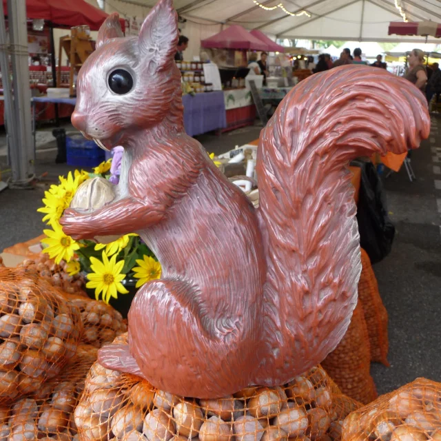 Fête De La Noisette Libre De Droit Ot Pays D'olmes
