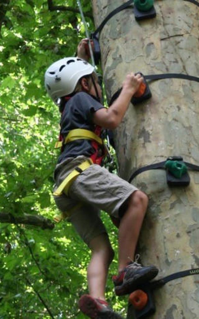 Activité Grimp'Arbres