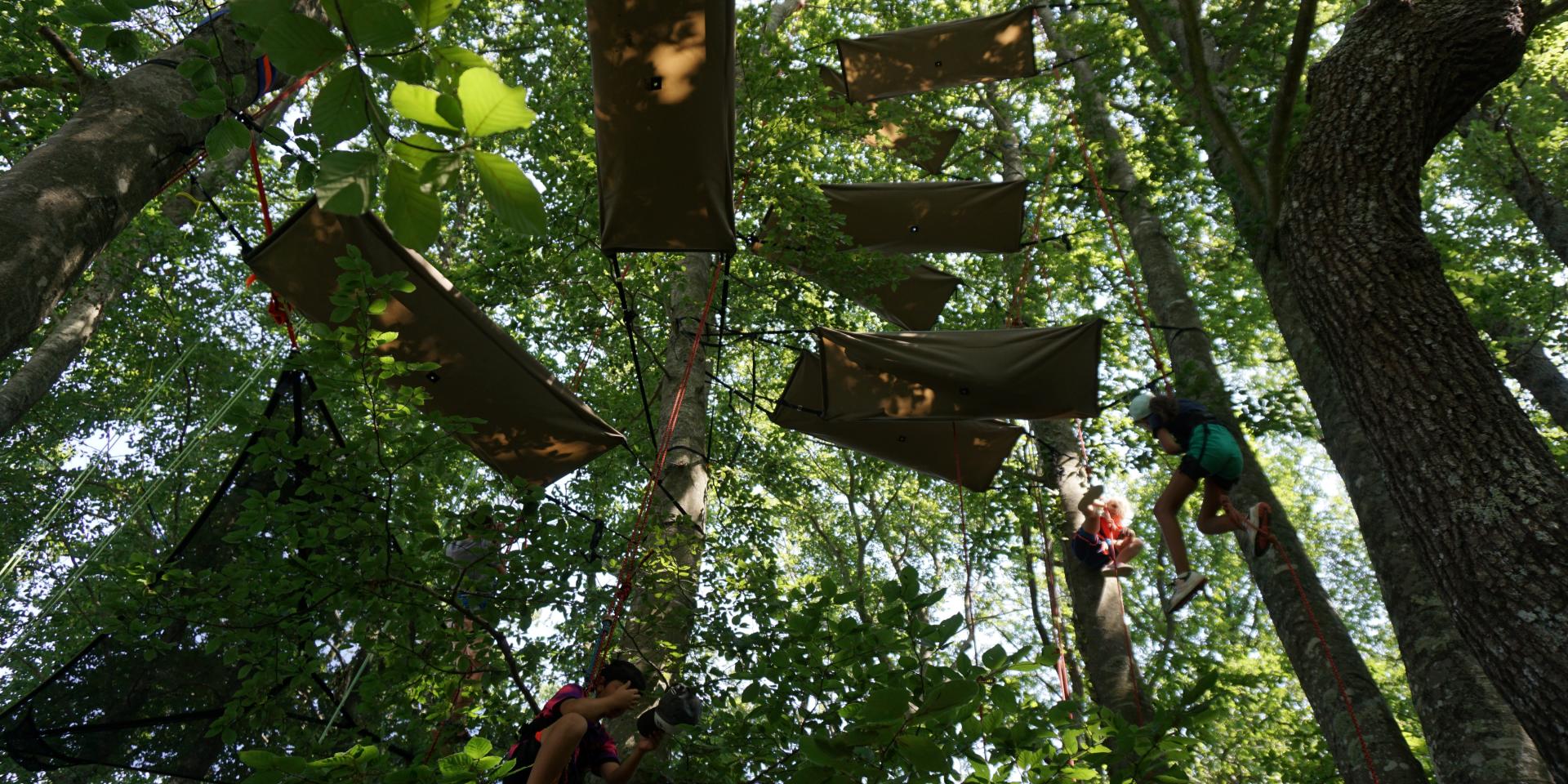Climbing tree