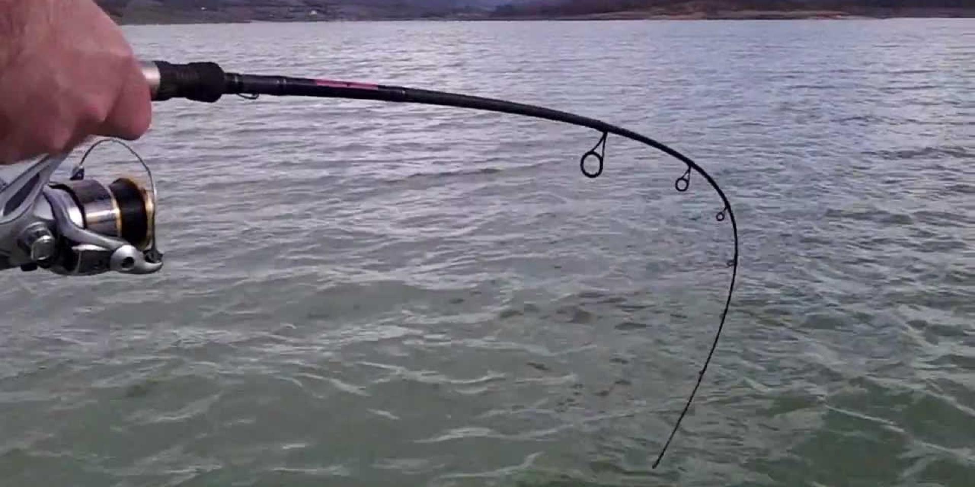 Peche Montbel