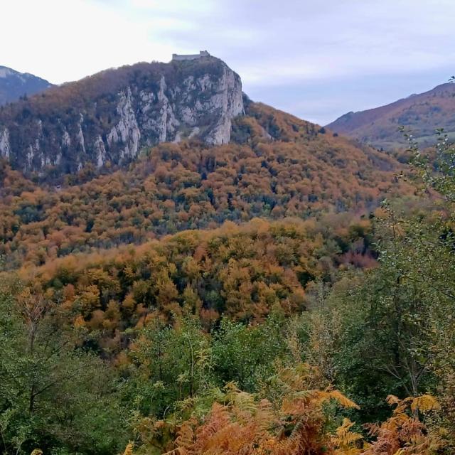 Vue du château de Montségur en automne depuis la croix de Morenci
