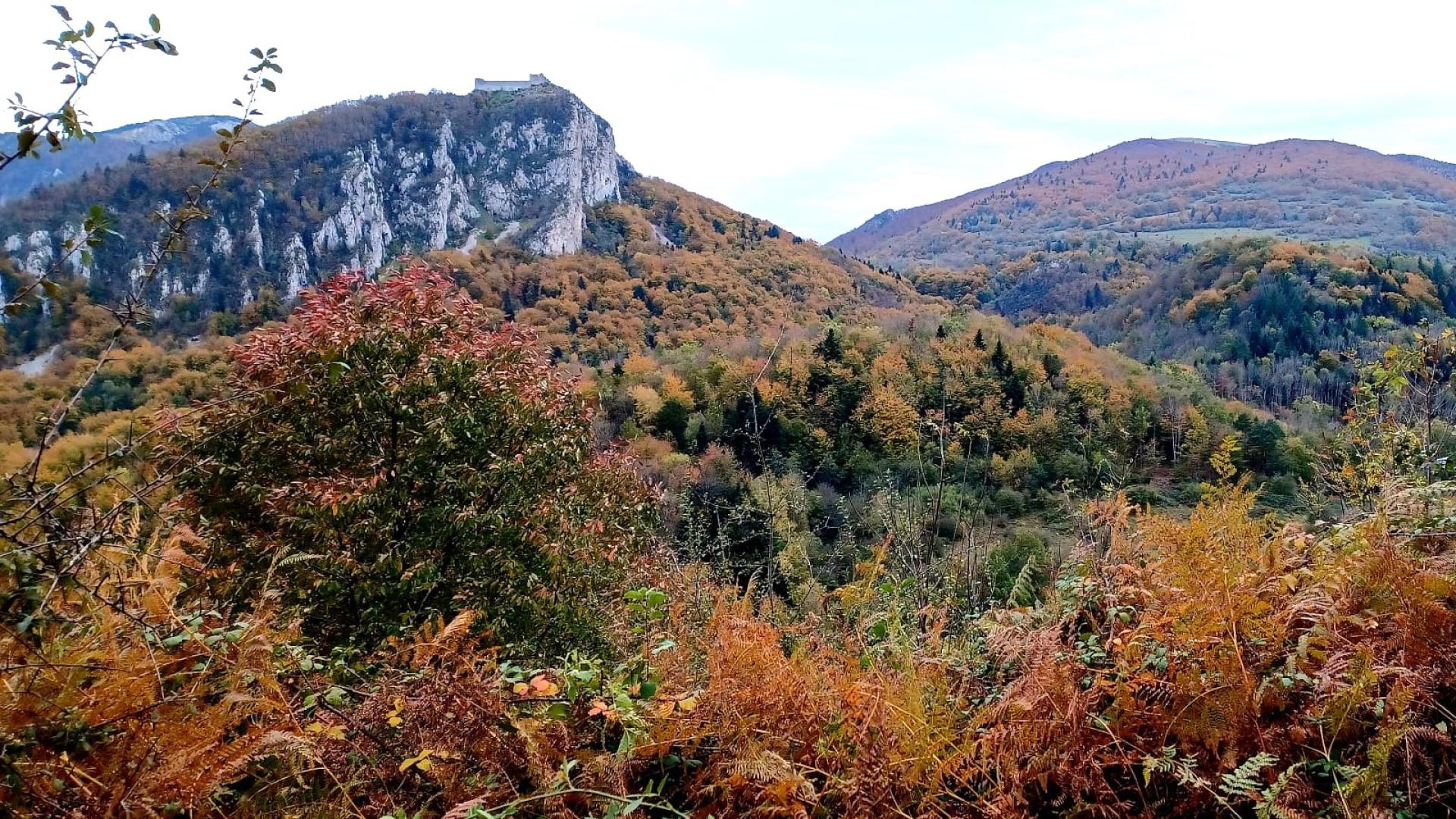 la château de Montségur depuis le sentier de la croix de Morenci