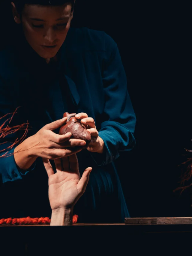 MIMA 2024 Spectacle Entrañas