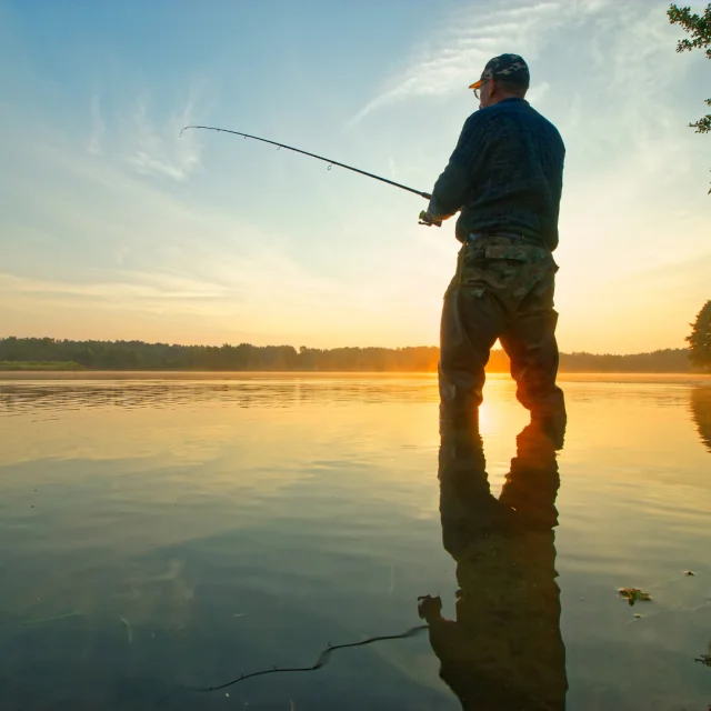 Pêche - image d'illustration
