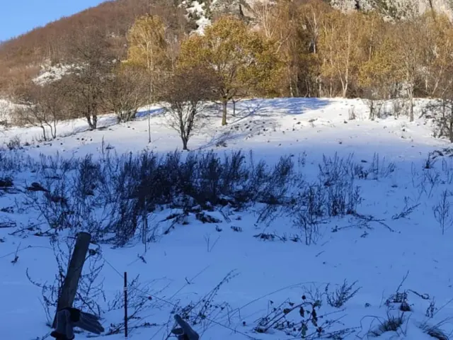 588236587 867721499092347 5649510604467424018 N