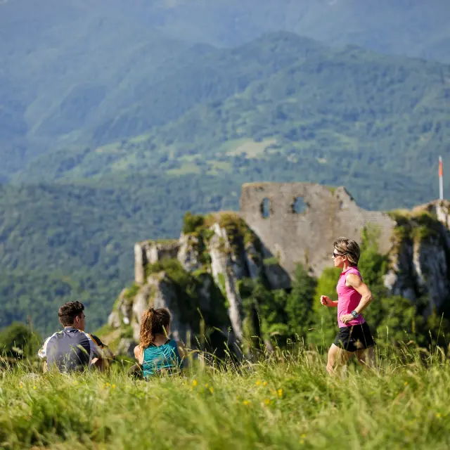 Traileuse à Roquefixade