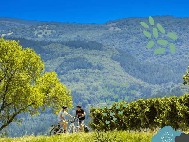 Velocipedie Occitane 3