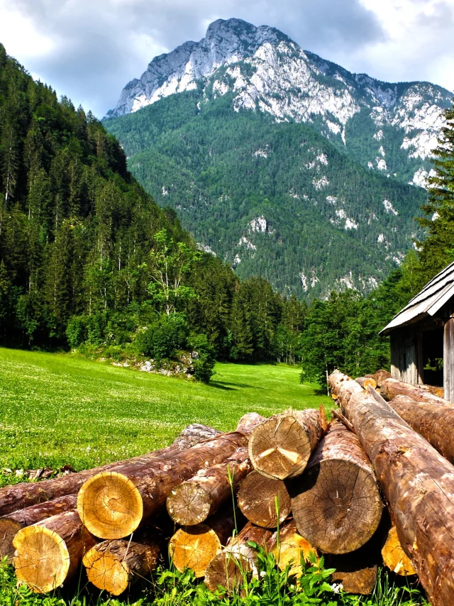 Grumes de bois empilées devant un chalet, au cœur d’une vallée de montagne verdoyante.