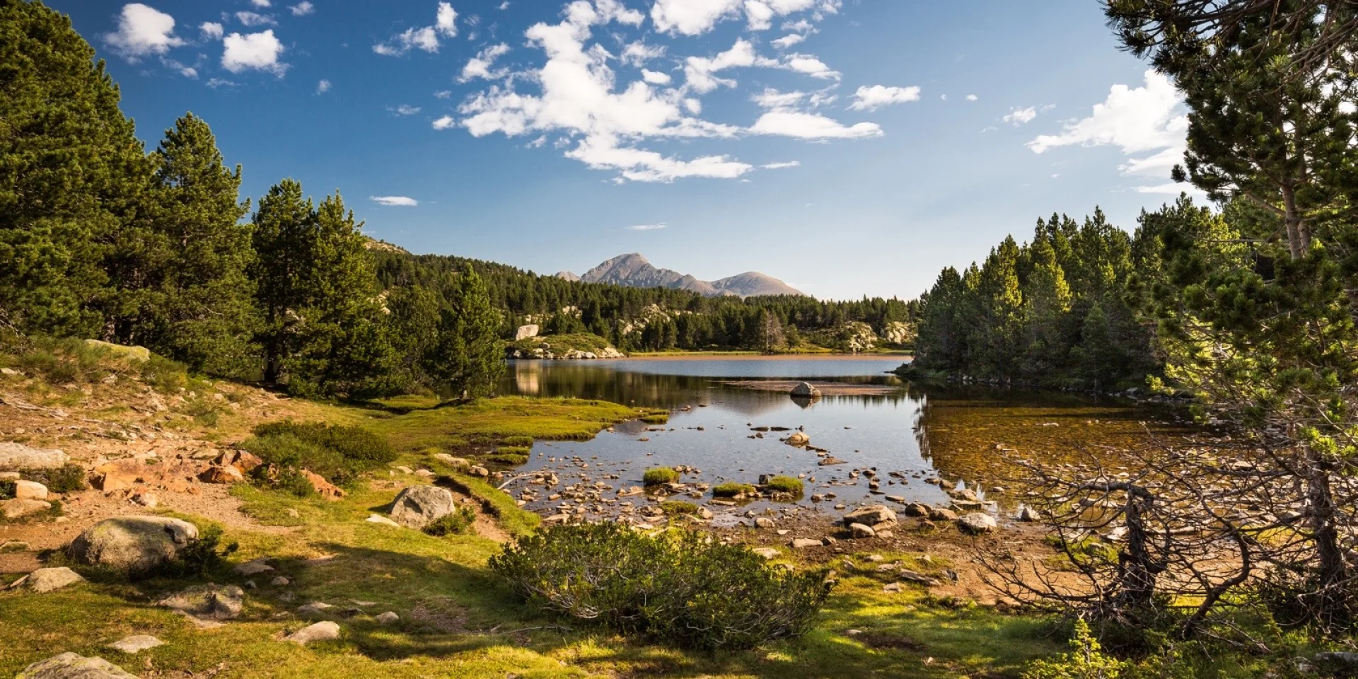 Paysage de montagne dans les Pyrénées-Orientales : un lac d’altitude entouré de pins et de prairies, avec les sommets du Canigó en arrière-plan sous un ciel bleu.