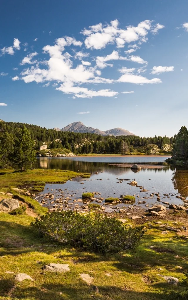 Paysage de montagne dans les Pyrénées-Orientales : un lac d’altitude entouré de pins et de prairies, avec les sommets du Canigó en arrière-plan sous un ciel bleu.