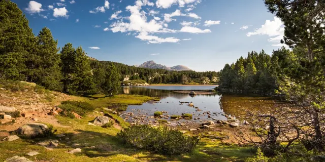 Paysage de montagne dans les Pyrénées-Orientales : un lac d’altitude entouré de pins et de prairies, avec les sommets du Canigó en arrière-plan sous un ciel bleu.